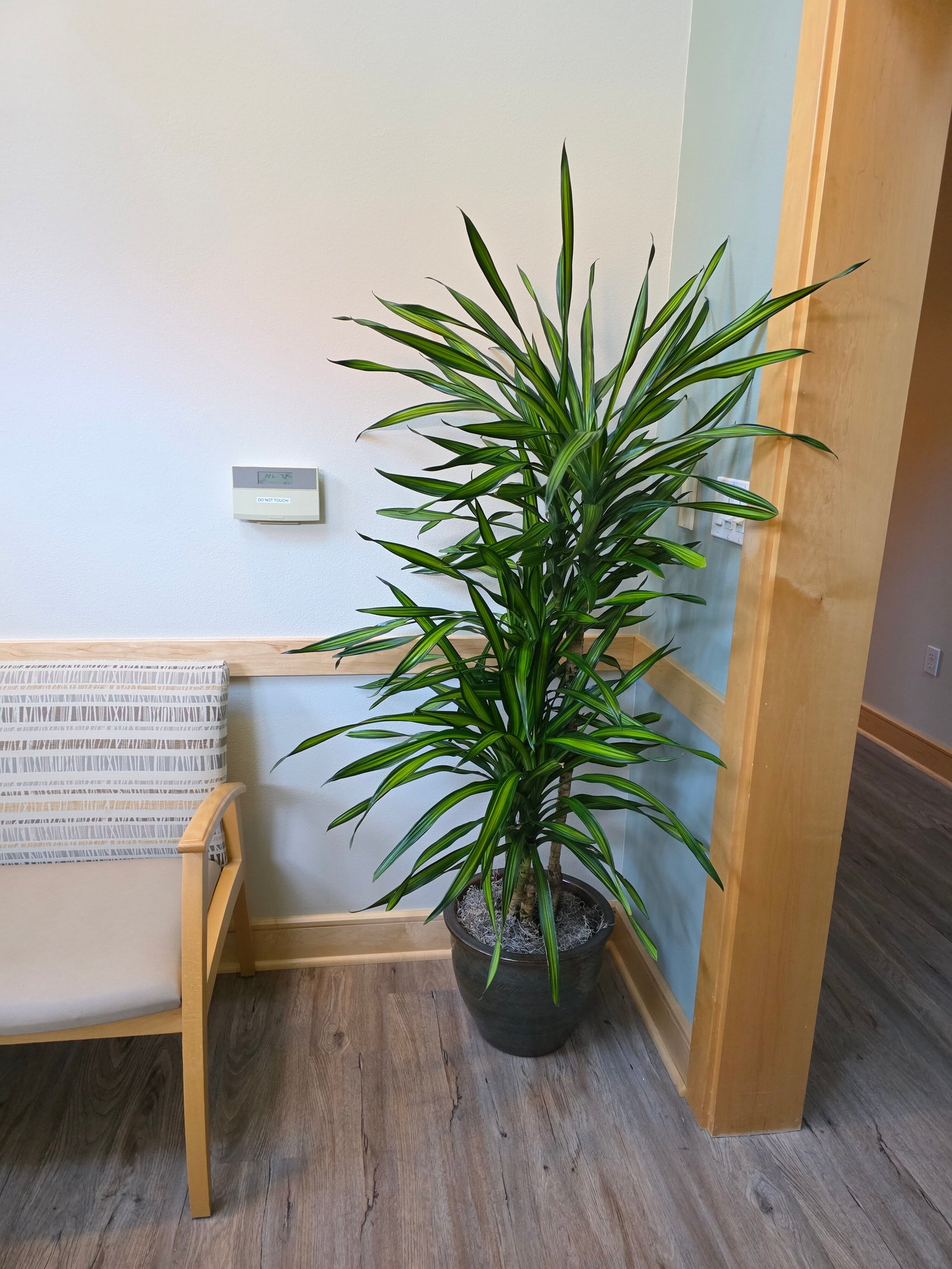 Interior plant installation