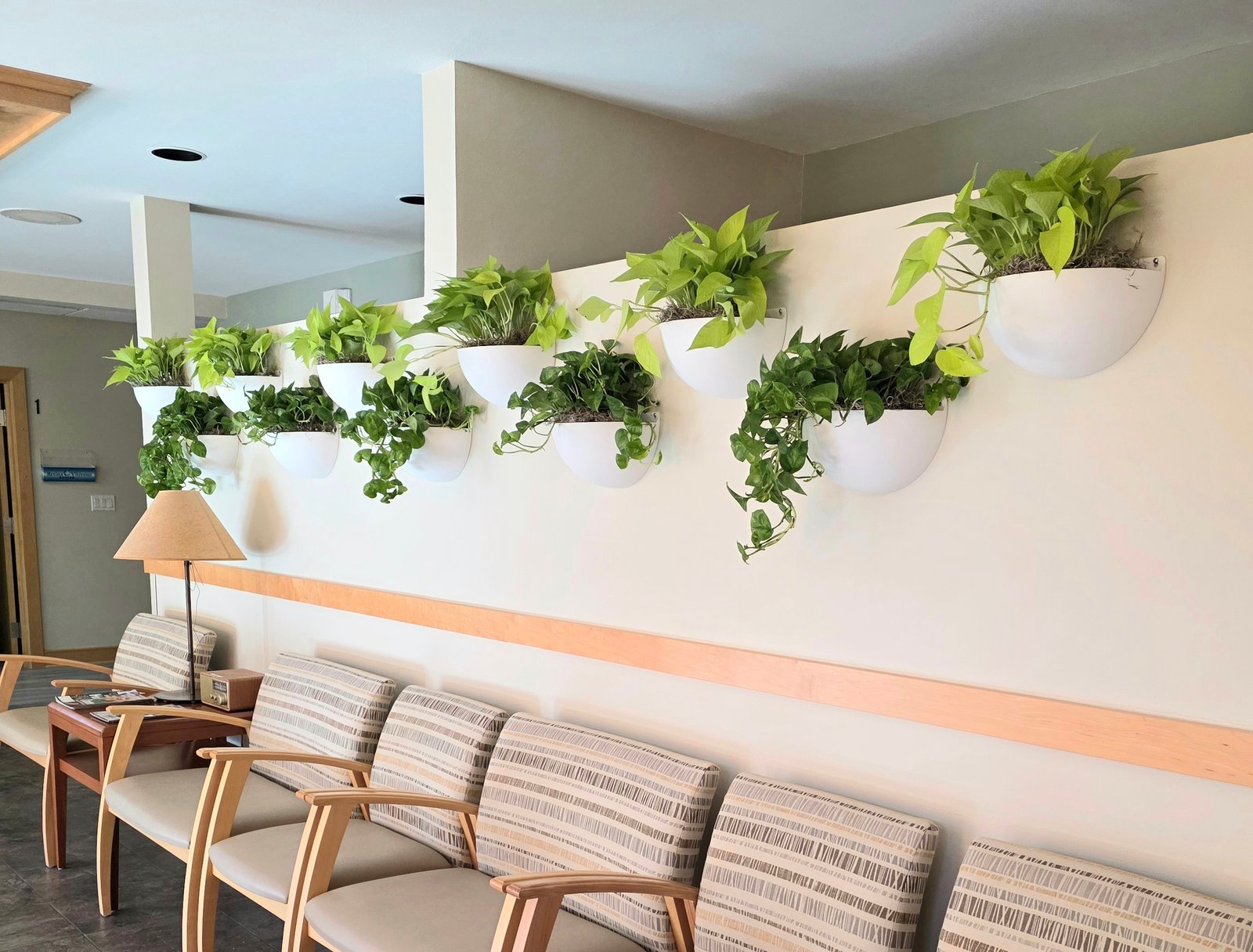 Interior plant installation