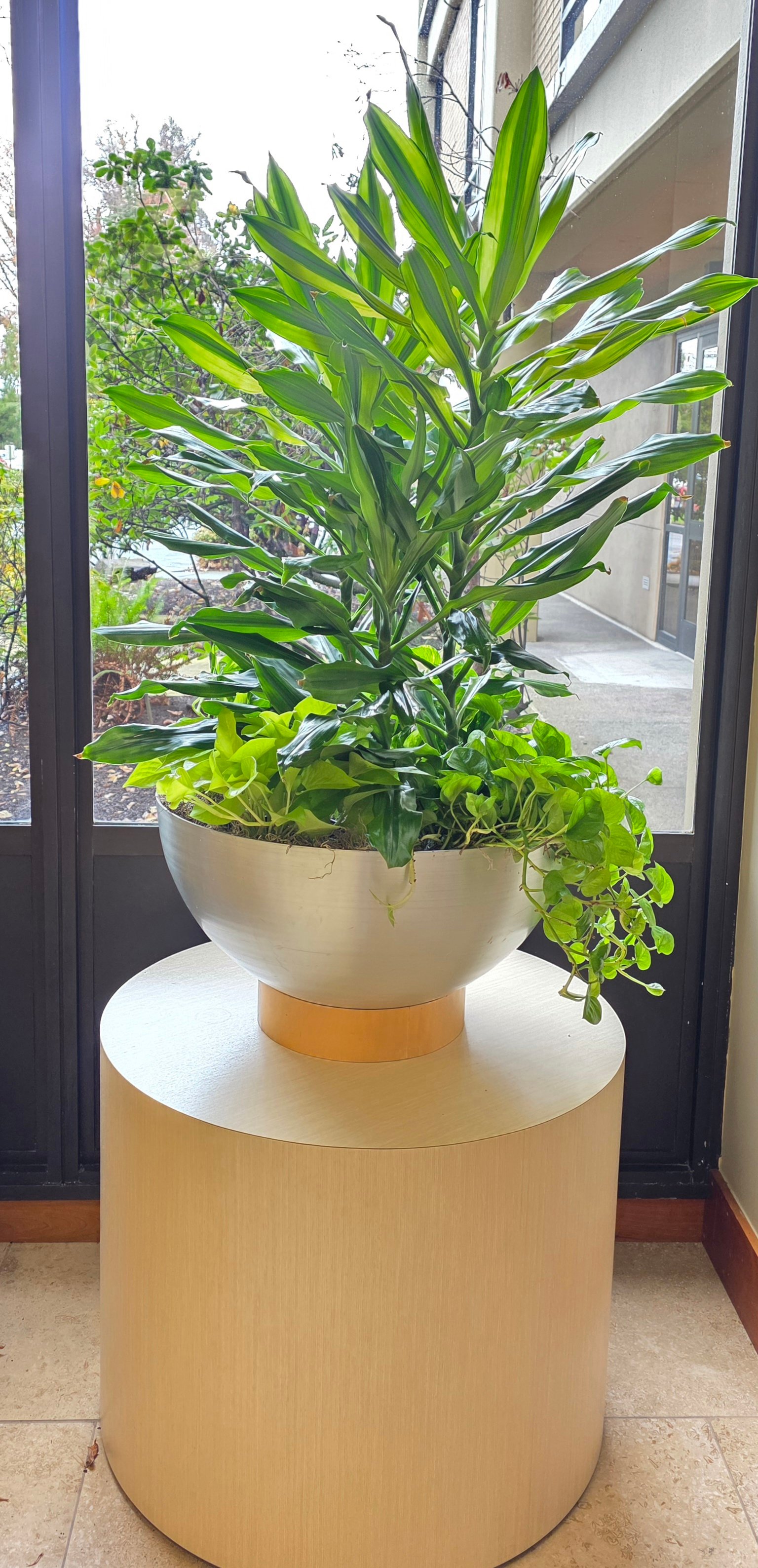 Interior plant installation